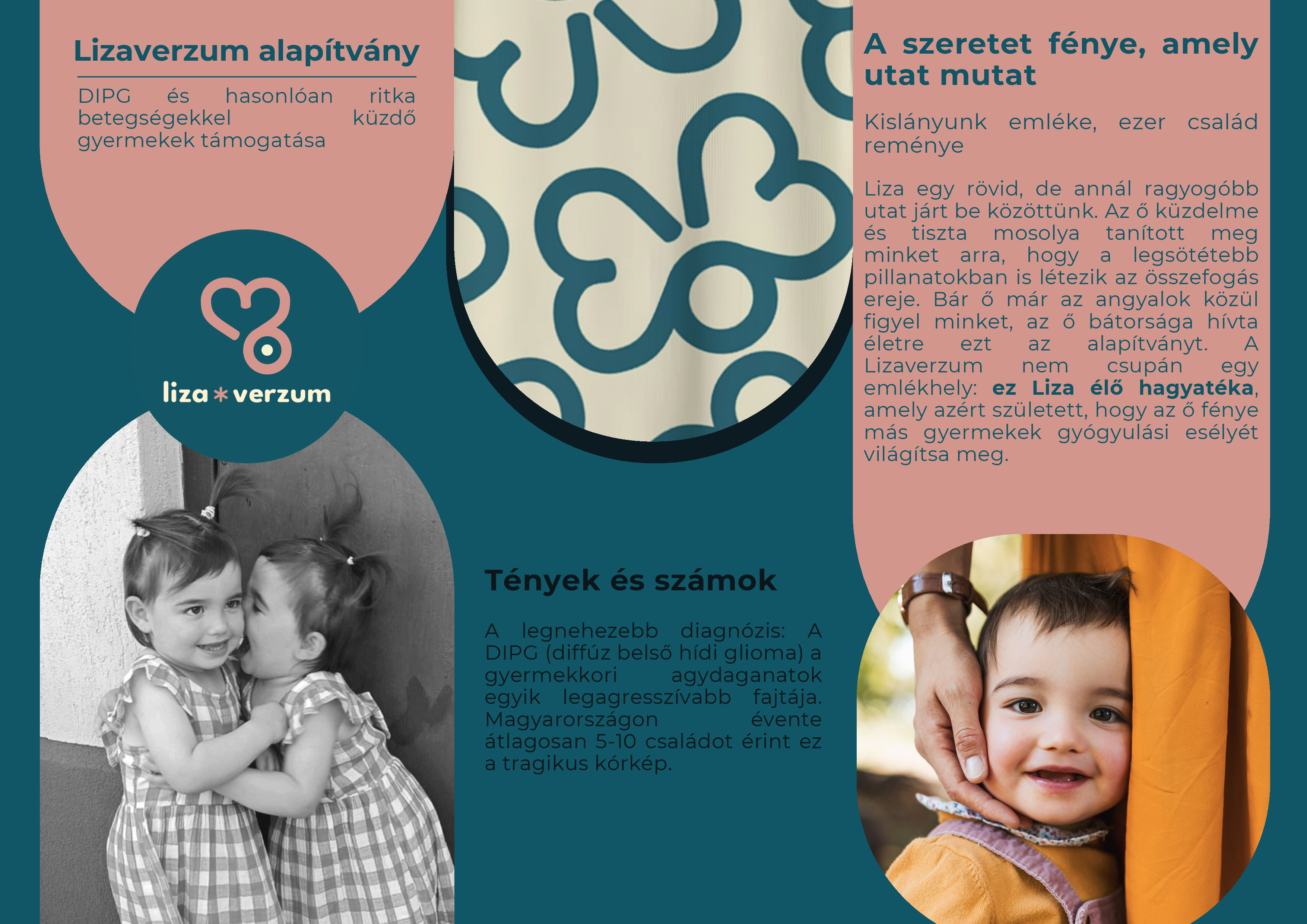 Lizaverzum bemutatkozó kép